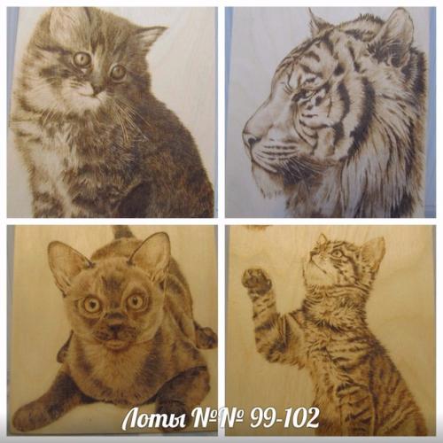 Наконец за окном зима, а у нас - открыта восьмая сессия нашего новогоднего благотворительного аукциона в пользу котиков даримподарки 2018. 03