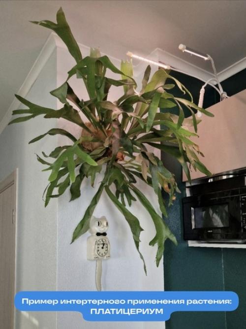 Взрослые и красивые. 01