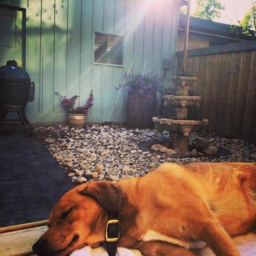 Из избы во дворец. 05 Из избы во дворец. 05