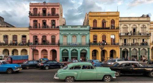 Куриная грудка под шубой. 08