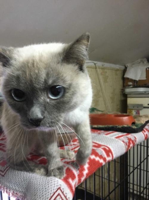 Ну какова красота! 01