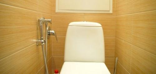 Для чего нужен гигиенический душ в туалете и как его установить.

