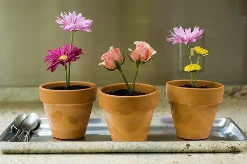 Как удивить оригинальным десертом своих друзей? 08