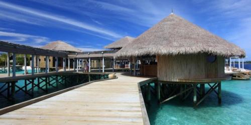 Куриная грудка под шубой. 09