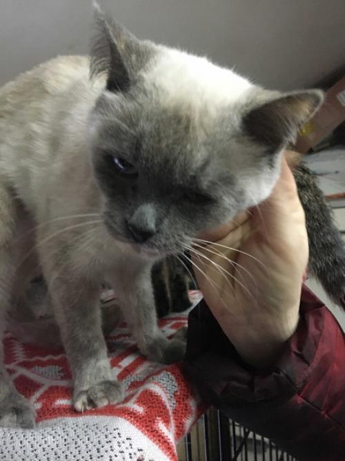 Ну какова красота! 02