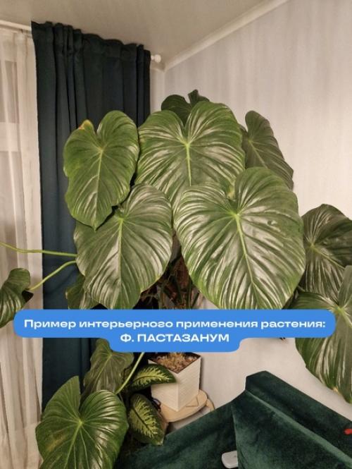 Взрослые и красивые. 02