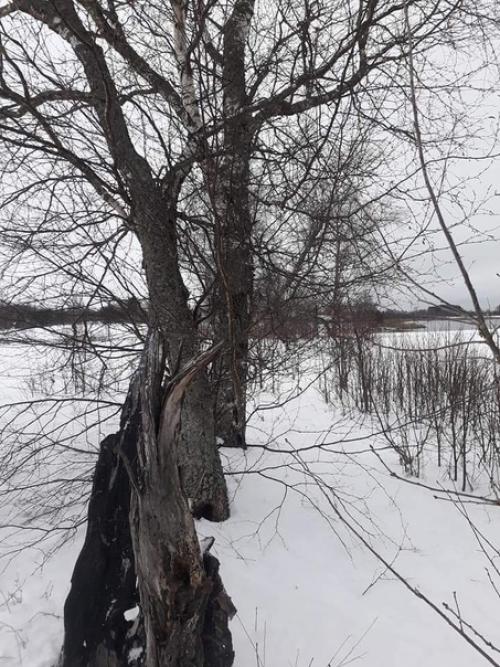 Зимняя прогулка в усадьбу бережок. 07