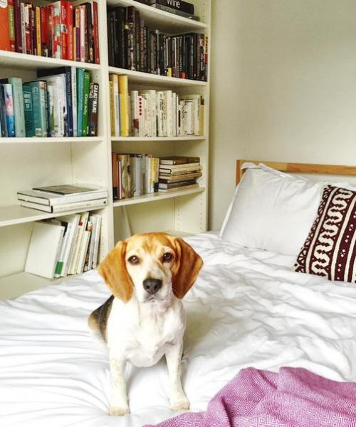 Из избы во дворец. 07 Из избы во дворец. 07