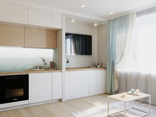 Кухня - гостиная 16. 04