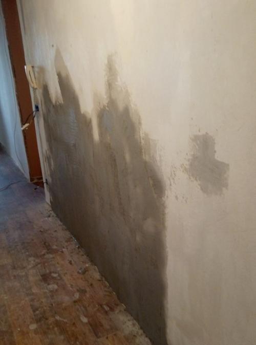 Делала ремонт в прихожей, стены полностью сама сделала. 02