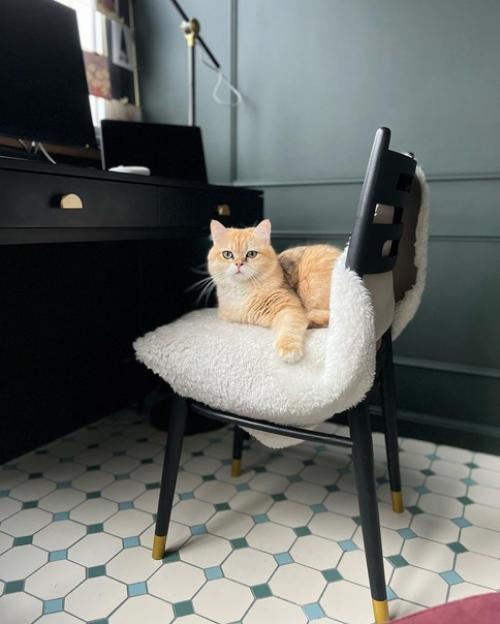 Доброе утро!  Мы начинаем этот прекрасный день с уютного и интересного интерьера Ксении Ksenia_Lagom. 04