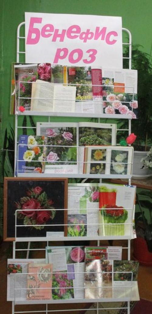 Калейдоскоп книжных выставок. 02