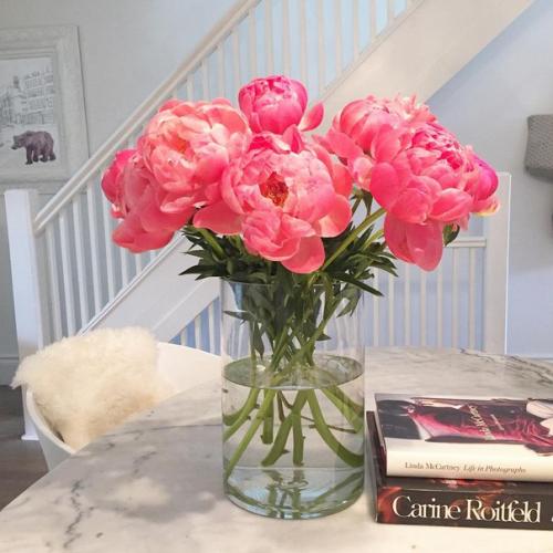 Из избы во дворец. 04 Из избы во дворец. 04