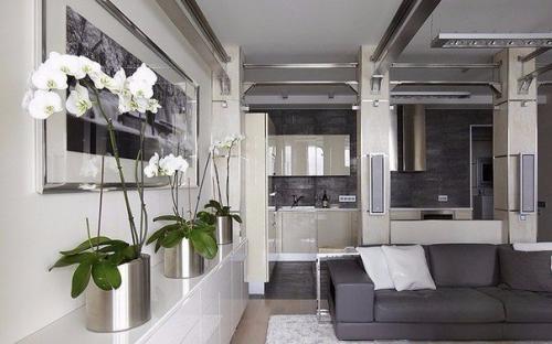 8 домашних растений вместо освежителей воздуха и Саше. 01