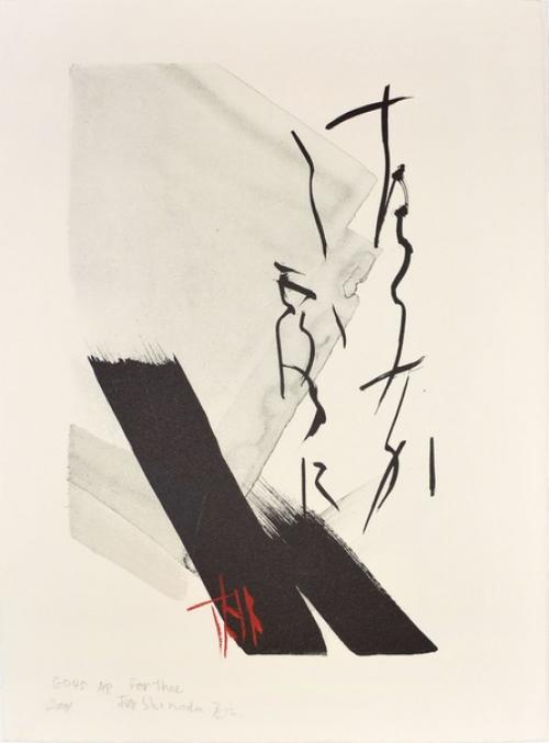 Toko Shinoda / визуальный архив. 07