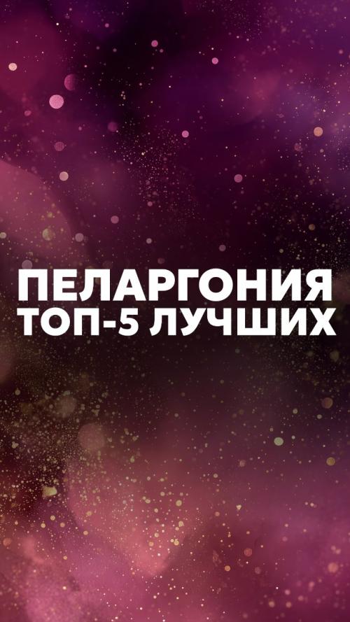 Вот топ - 5 самых популярных серий, которые гарантированно получаются даже у новичков: 

