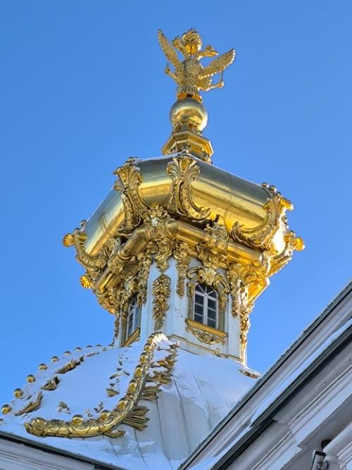 И случилась со мной поездка, да не куда-то, а во дворец в Петергофе, который по - праву считают символом царского величия. 07