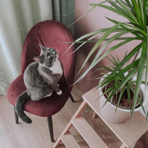 Зеленые оттенки в красивой квартире Насти Nastya_Homelike. 01