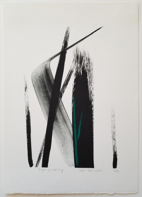 Toko Shinoda / визуальный архив. 06