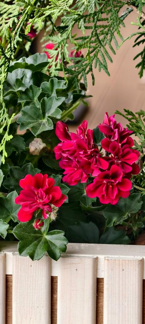 Вот топ - 5 самых популярных серий, которые гарантированно получаются даже у новичков: 01