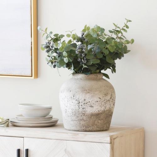 Модные растения в интерьере: эвкалиптовый бессмертник. 03