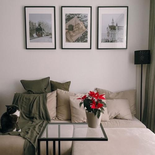 Зеленые оттенки в красивой квартире Насти Nastya_Homelike. 08