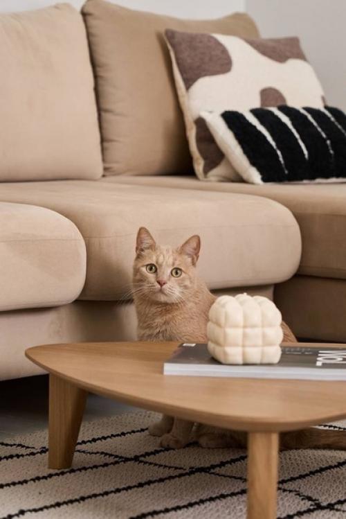 Уютная квартира в старом московском доме. 03