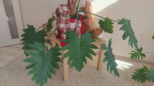 У вас мало света? 05