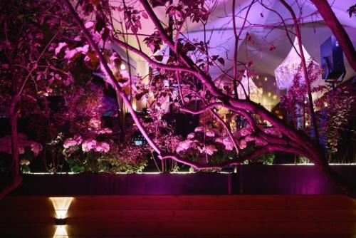 Ресторан Гвидон 18+.  Ресторан с морской кухней, вдохновленный сказкой Пушкина, расположен в старинном особняке на большой никитской улице. 03