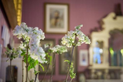 До марта в музее царское село можно увидеть живую сирень. 04