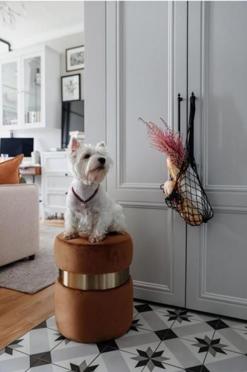 Франция в МОСКВЕ. Хозяйка этой студии площадью 40 кв. 07