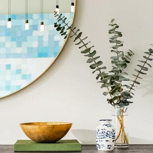 Модные растения в интерьере: эвкалиптовый бессмертник. 01