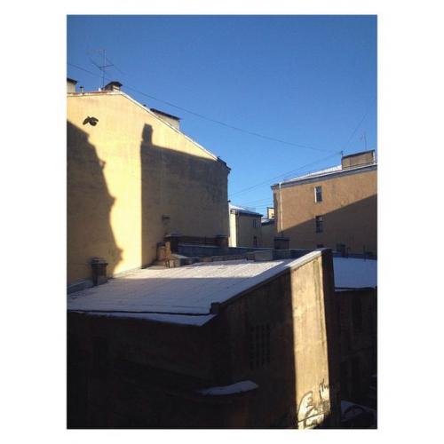 Please Share!  Скрепя сердце или как любят теперь писать Скрипя Сердцем, мы ищем соседа в нашу трехкомнатную квартиру в Петербурге на Марата 22. 02