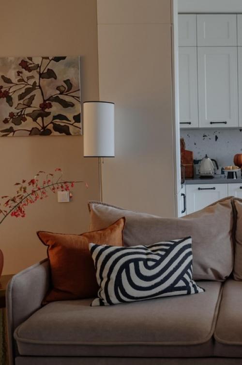 Франция в МОСКВЕ. Хозяйка этой студии площадью 40 кв. 01