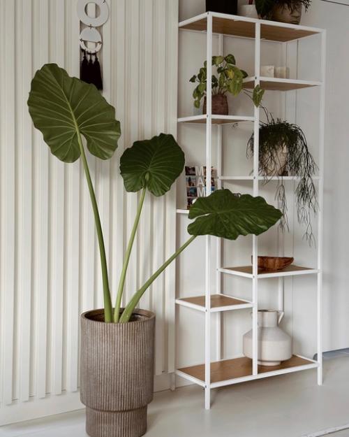 Уютная современная квартира с открытым балконом, зелеными растениями и плетеным декором. 06