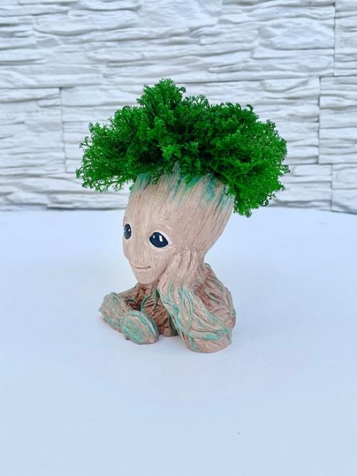 Современный ритм жизни не всегда позволяет нам наслаждаться природной красотой и пользой. 01