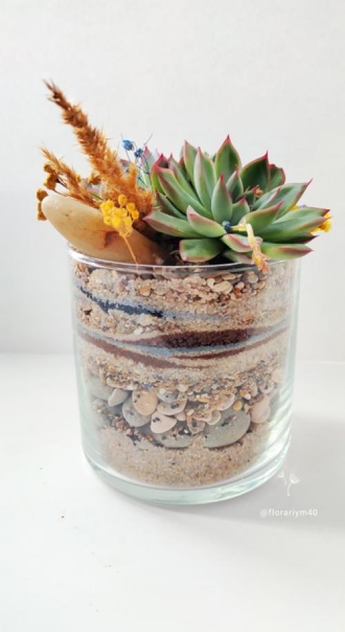 Кто не Любит Природы, тот не Любит и Человека, - тот Плохой Гражданин. 03