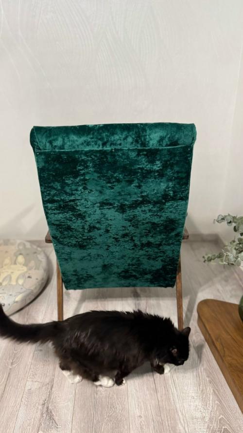 Первое в практике, выдержанное. 01