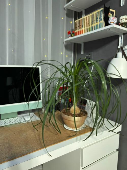 Скандинавы безумно любят природу. 01