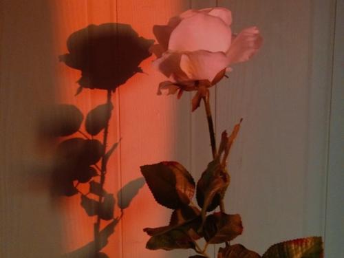 Мне больно на тебя смотреть. 01