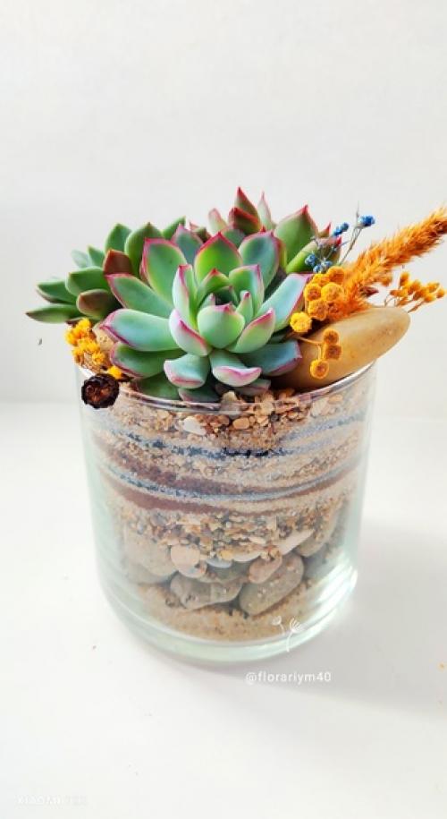 Кто не Любит Природы, тот не Любит и Человека, - тот Плохой Гражданин. 01