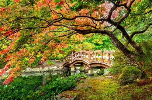 Средневековый замок хэтли находится в округе британская Колумбия. 08