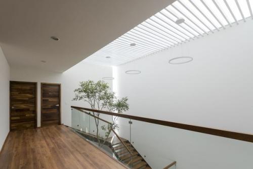 Дом G - 08 / Саул Лара. 08