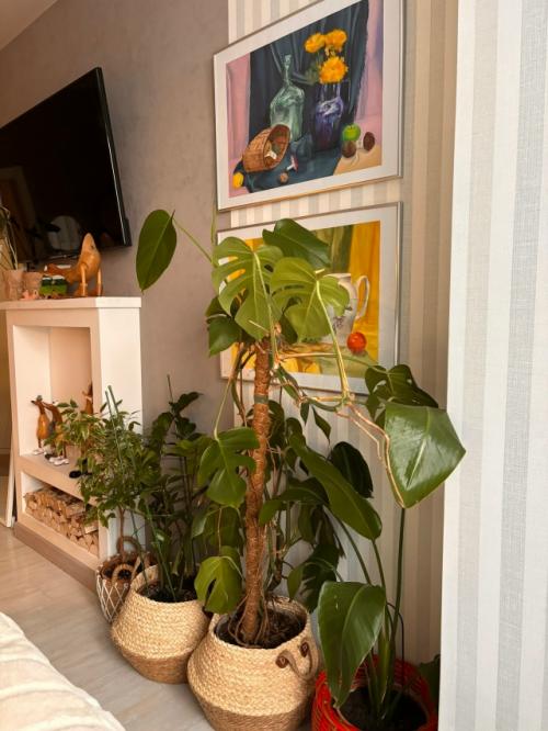 Скандинавы безумно любят природу. 05