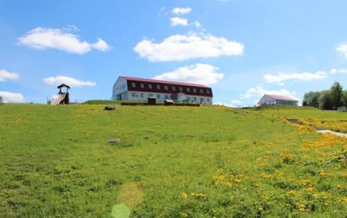 БО Лесная Гавань на юге псковской обл., озеро спастер. 05