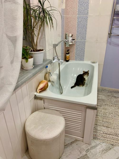 Здравствуйте, дорогие люди! 01