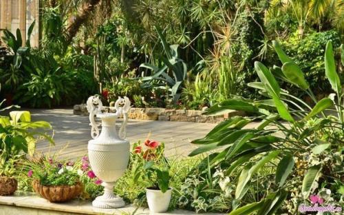 26 интересных мест для фотосессий в питере. 02