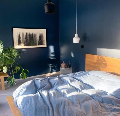 Ультрамарин - один из самых популярных цветовых трендов в декоре в этом сезоне. 06