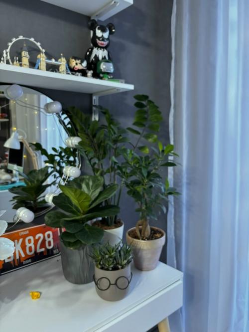 Скандинавы безумно любят природу. 02