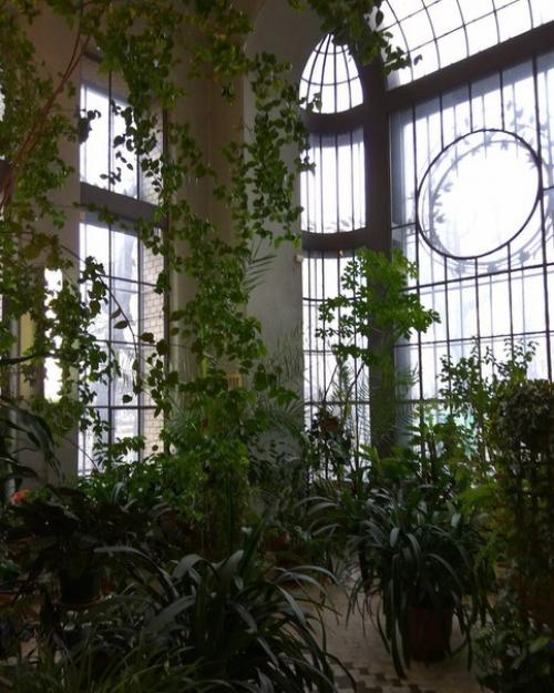 Особняк Матильды кшесинской. 04